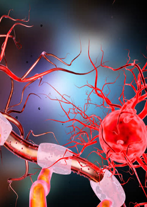 neuronnes